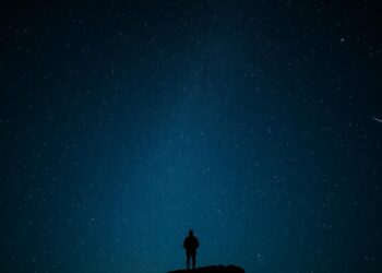 Wonder