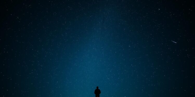 Wonder